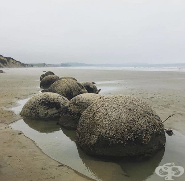 Камъни Моераки, които изглеждат като разпръснати по брега от великани.