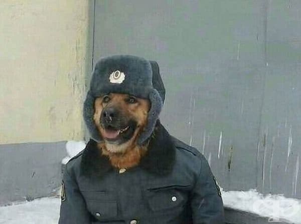 Екипиран за зимата.
