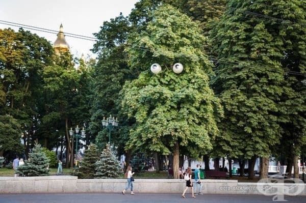 Тези улични лампи изглеждат като очи на дърво.
