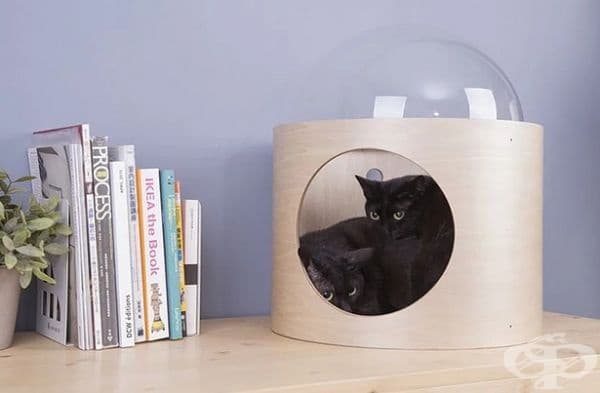 Дизайнерска компания създава космически легла за котки