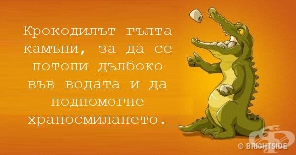 12 невероятни факта, които всеки трябва да знае