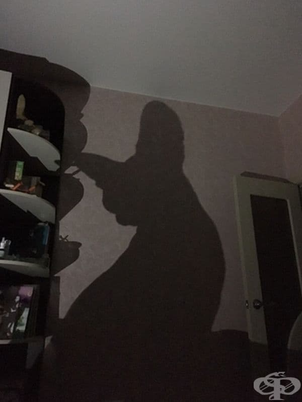 Малко мило коте?