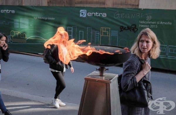 40 невероятно сполучливи и забавни снимки по света