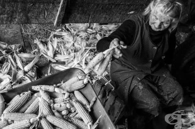 Един ден от живота на 83-годишна баба във фермата в снимки