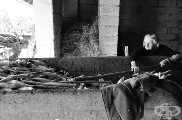 Един ден от живота на 83-годишна баба във фермата в снимки