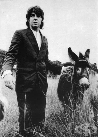 Последната фотосесия на Бийтълс (22 август, 1969)