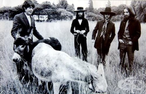 Последната фотосесия на Бийтълс (22 август, 1969)