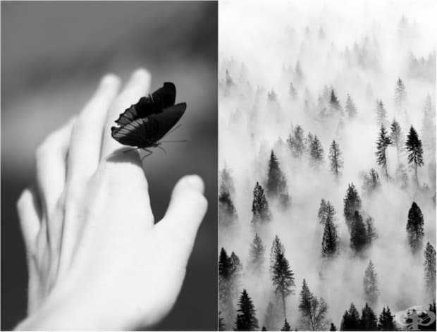 24 черно-бели фотографии, които ще спрат дъха ви