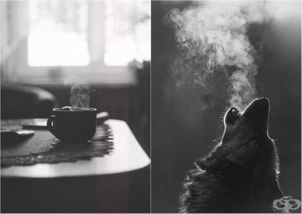 24 черно-бели фотографии, които ще спрат дъха ви