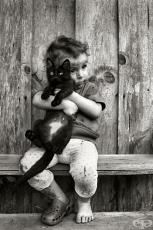 © Alain Laboile