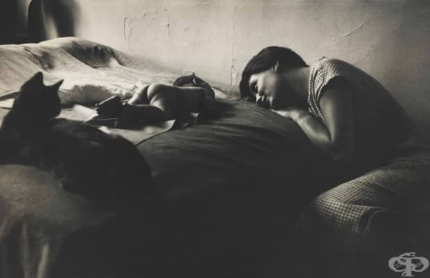 © Elliott Erwitt