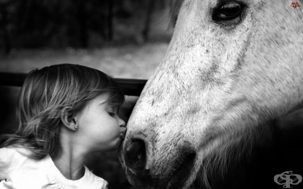 © Judy W