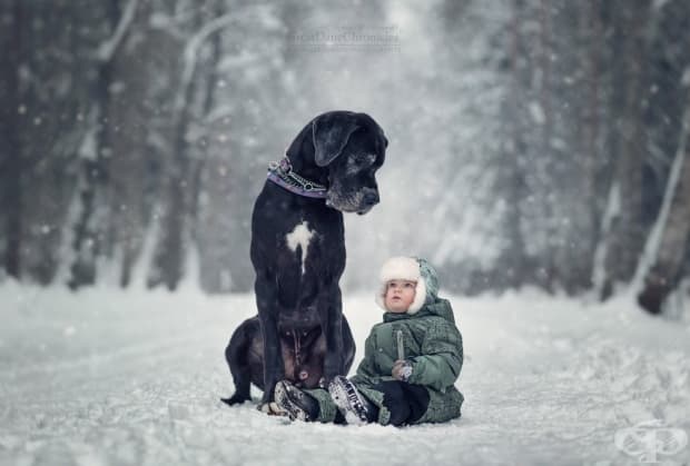Малки деца и големите им кучета