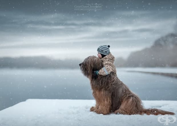 Малки деца и големите им кучета
