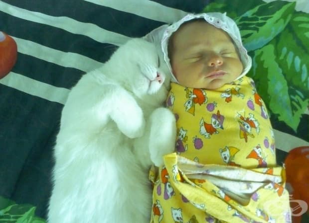 27 снимки, които доказват, че децата се нуждаят от животинче и обратното