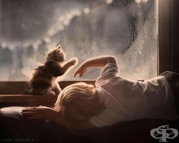 Малки приятели...деца и котета