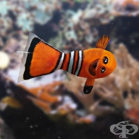 Баща превръща рисунките на 6-годишния си син в реалност. Ще се смеете от сърце!
