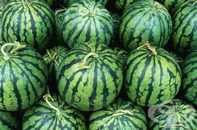 Раетата й са ясно очертани.