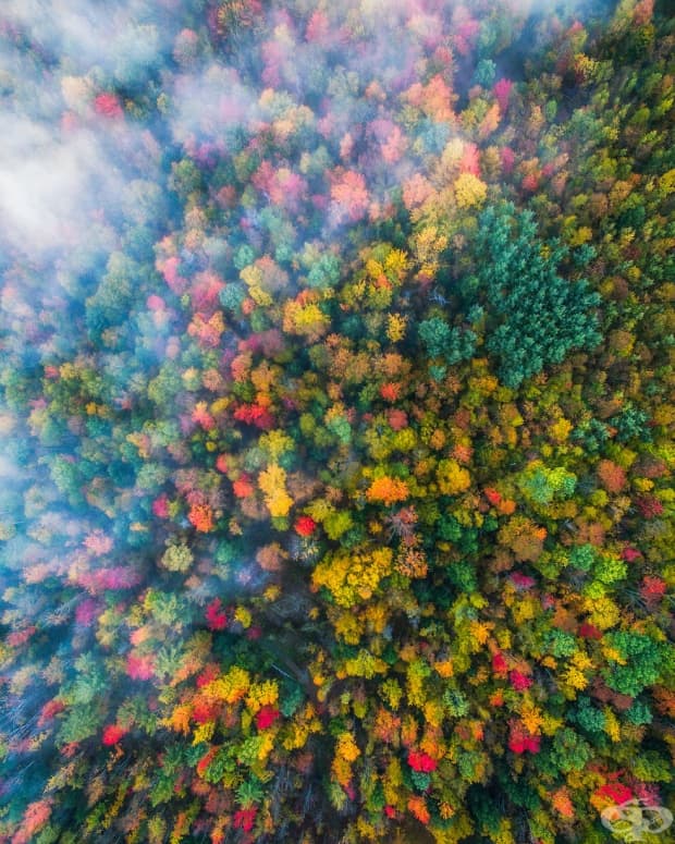 13 невероятни есенни пейзажа