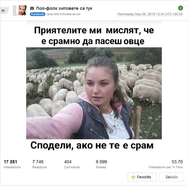 Интересно как с това розовото се пасат овцете