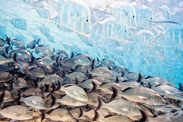 4. Яго Леонардо, Испания