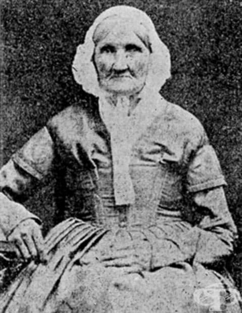 Хана Стийли