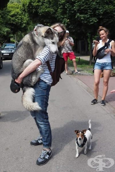 Не се страхувайте да покажете слабост.