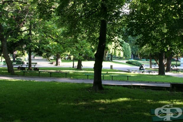 100 години светът е Берое в снимки