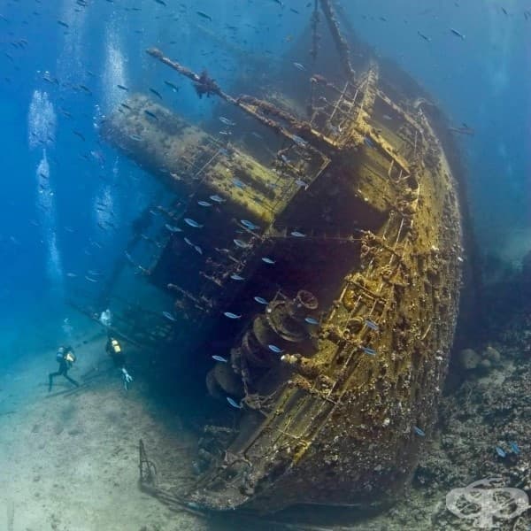 Корабокруширал търговски кораб, Червено море