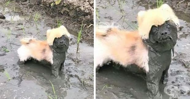 Какво?
