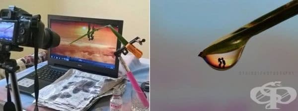 Жива вода