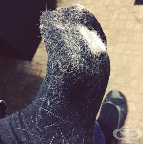 15 снимки, които ясно показват какво е да имаш домашен любимец