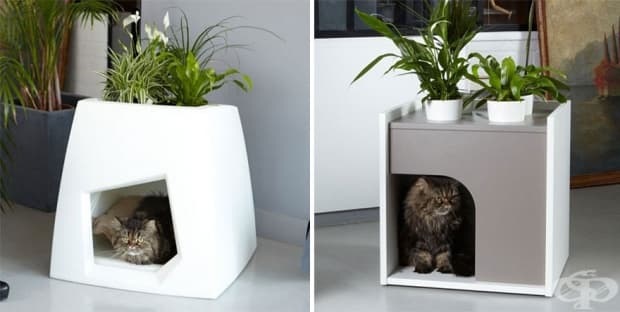 Котешка къщичка с цветя