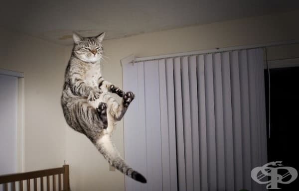 Имам много умения, на които мога да те науча, Люк!