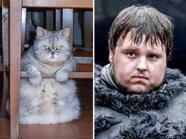 Джон Брадли-Уест (Игра на тронове)