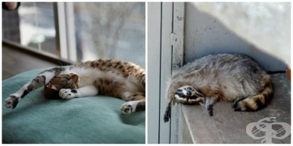 Да, удобно ми е. Да, наистина.