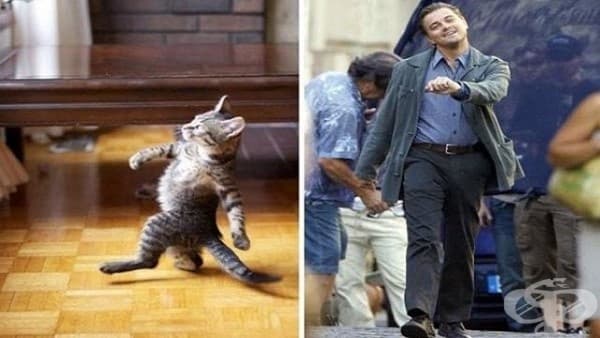 Леонардо ДиКаприо