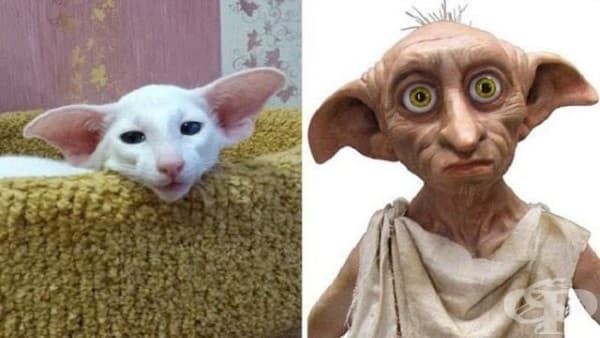 Духчето Доби