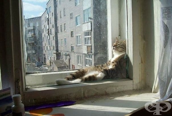 Еееех!