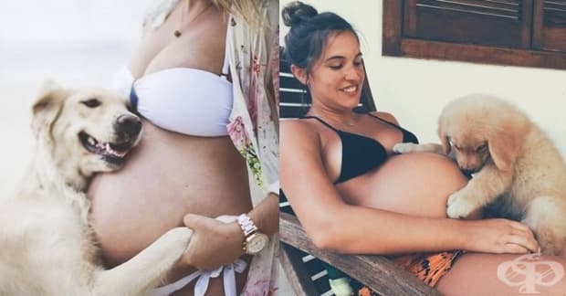 20 кучета, които нямат търпение бебето да се роди