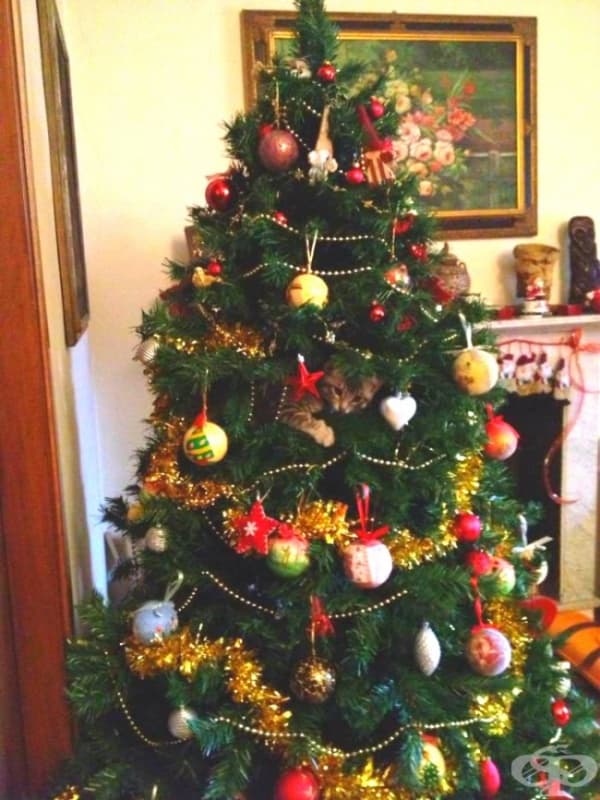 Погледнете малко по-отблизо… ето го! Търси Дядо Коледа…