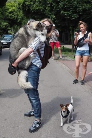 "Дръж ме, страхувам се!"