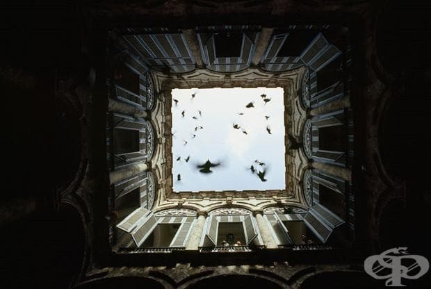 Ято птици излитат от затворен двор в Old Havana, декември 1987