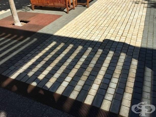 21 снимки, заснети в точния момент, които ще ви накарат да погледнете два пъти!