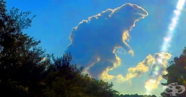 Cloudzilla.