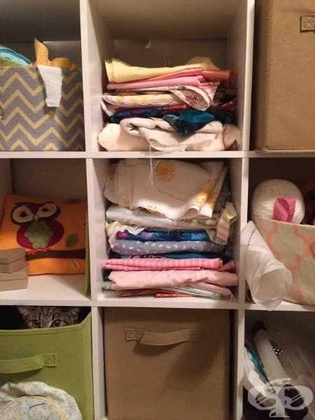23 нинджа котки, овладели древното изкуство нинджицу