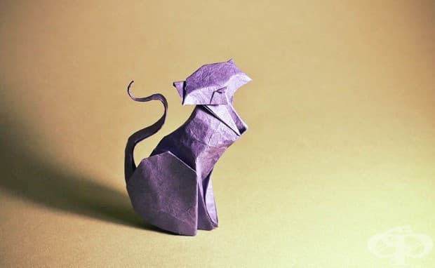 Невероятни оригами на животни от испанския художник Гонсало Калво