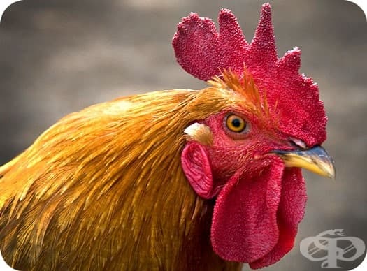 Източник: "Най-известните дзен притчи"; Снимка: whats-your-sign.com