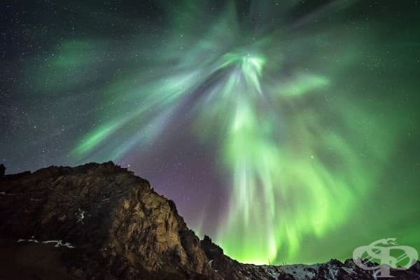Северното сияние – всеки трябва да го види поне веднъж в живота си!
