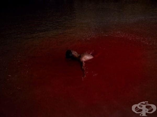 Този шведски фотограф улавя страхотни снимки на танцьори в природата